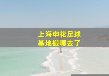 上海申花足球基地搬哪去了