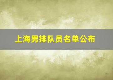 上海男排队员名单公布