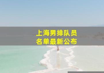 上海男排队员名单最新公布