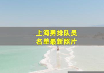 上海男排队员名单最新照片