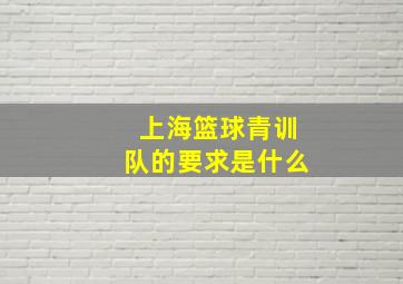 上海篮球青训队的要求是什么