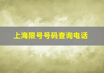 上海限号号码查询电话