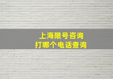 上海限号咨询打哪个电话查询