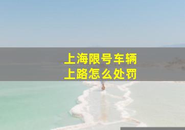 上海限号车辆上路怎么处罚