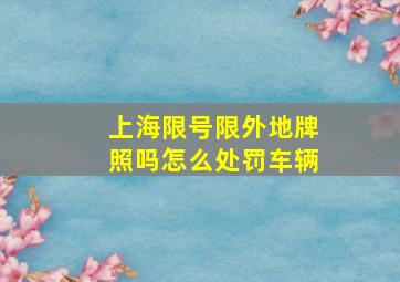 上海限号限外地牌照吗怎么处罚车辆