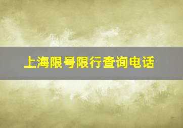 上海限号限行查询电话