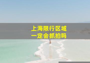 上海限行区域一定会抓拍吗