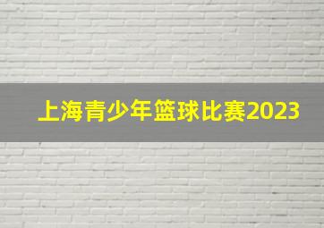 上海青少年篮球比赛2023