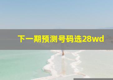 下一期预测号码选28wd