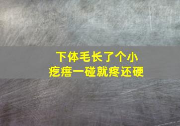 下体毛长了个小疙瘩一碰就疼还硬