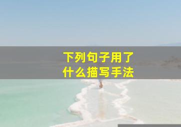 下列句子用了什么描写手法