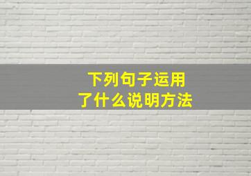 下列句子运用了什么说明方法