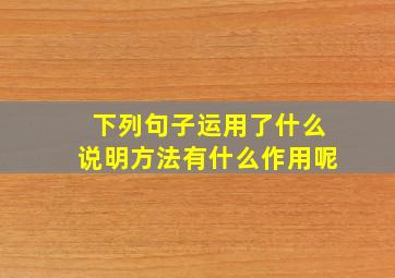 下列句子运用了什么说明方法有什么作用呢