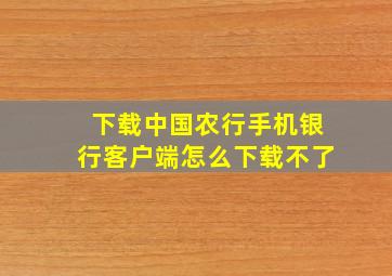 下载中国农行手机银行客户端怎么下载不了