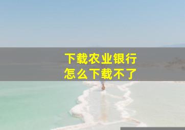 下载农业银行怎么下载不了