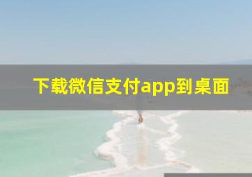 下载微信支付app到桌面