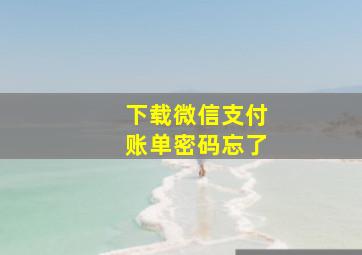 下载微信支付账单密码忘了