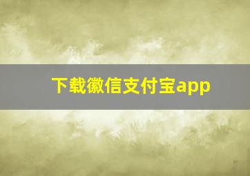 下载徽信支付宝app