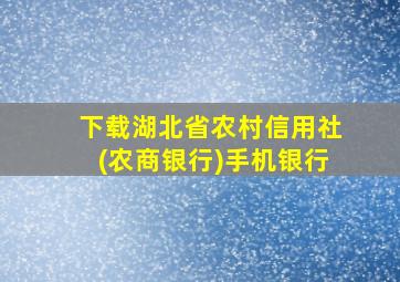 下载湖北省农村信用社(农商银行)手机银行