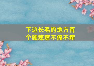 下边长毛的地方有个硬疙瘩不痛不痒