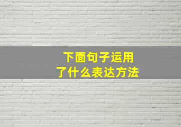 下面句子运用了什么表达方法