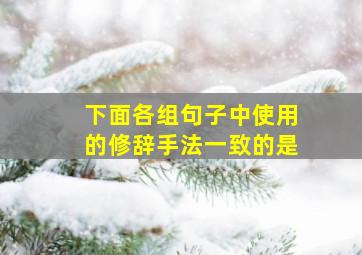 下面各组句子中使用的修辞手法一致的是