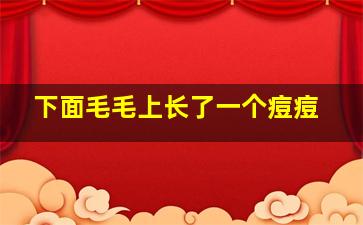 下面毛毛上长了一个痘痘