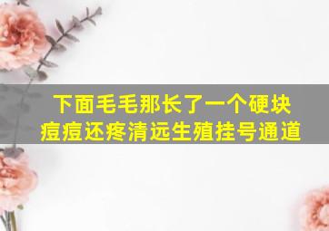 下面毛毛那长了一个硬块痘痘还疼清远生殖挂号通道