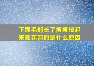 下面毛部长了痘痘按起来硬邦邦的是什么原因