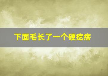 下面毛长了一个硬疙瘩