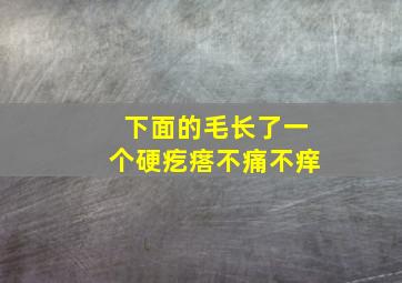 下面的毛长了一个硬疙瘩不痛不痒