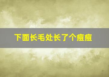 下面长毛处长了个痘痘