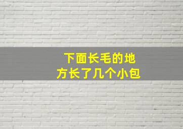 下面长毛的地方长了几个小包