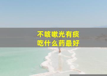 不咳嗽光有痰吃什么药最好