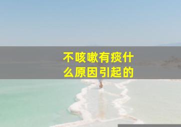 不咳嗽有痰什么原因引起的