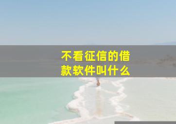 不看征信的借款软件叫什么