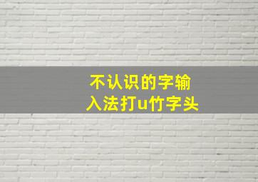 不认识的字输入法打u竹字头