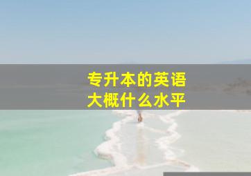 专升本的英语大概什么水平