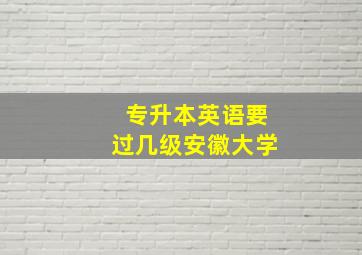 专升本英语要过几级安徽大学