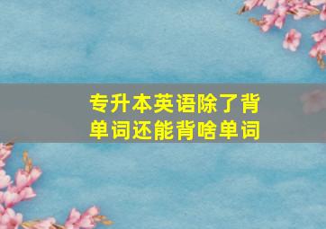 专升本英语除了背单词还能背啥单词