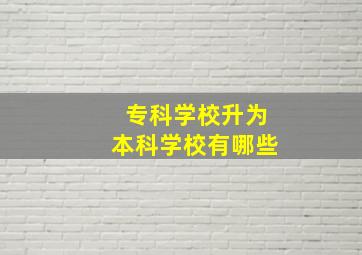 专科学校升为本科学校有哪些