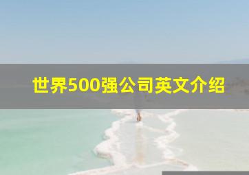 世界500强公司英文介绍