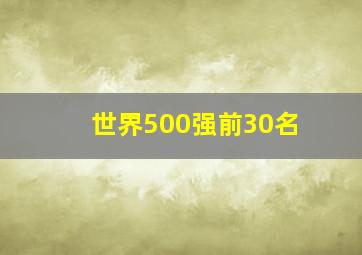 世界500强前30名