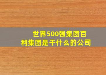 世界500强集团百利集团是干什么的公司