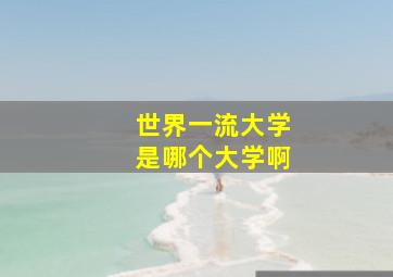 世界一流大学是哪个大学啊