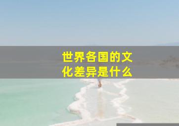 世界各国的文化差异是什么