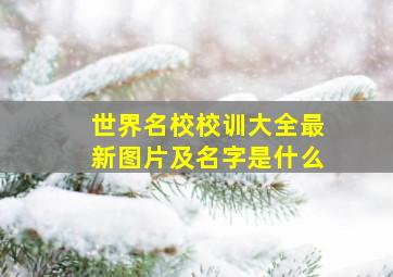 世界名校校训大全最新图片及名字是什么