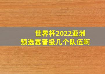 世界杯2022亚洲预选赛晋级几个队伍啊