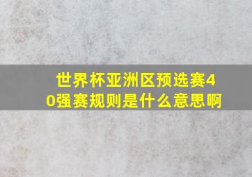 世界杯亚洲区预选赛40强赛规则是什么意思啊