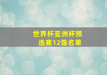 世界杯亚洲杯预选赛12强名单